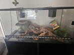 Terrarium, Dieren en Toebehoren, Ophalen