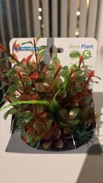 Superfish aquarium plant nieuw, Dieren en Toebehoren, Ophalen of Verzenden, Nieuw, Plant(en), Steen of Hout