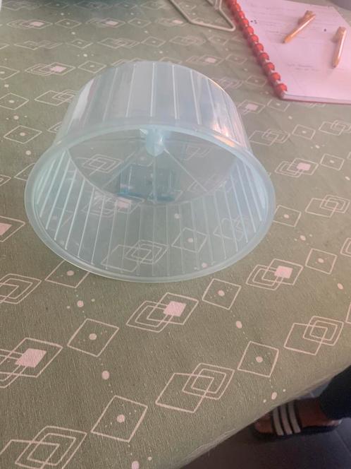 Lieve hamster zoeken goed thuis, Dieren en Toebehoren, Knaagdieren, Vrouwelijk, Hamster, Januari, Tam