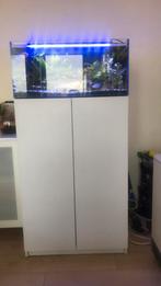 120 liter aquarium met mix’s van vissen, Dieren en Toebehoren, Ophalen, Zo goed als nieuw, Gevuld zoetwateraquarium