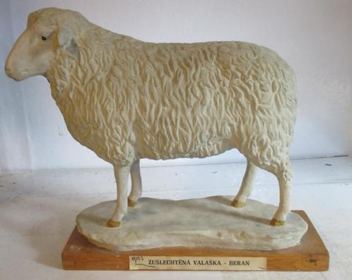 oud model van een schaap uit slagerij of school   13, Antiek en Kunst, Curiosa en Brocante, Verzenden