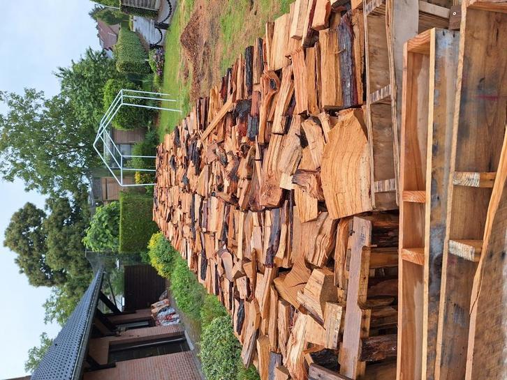 Brandhout eik/ beuk / den, Tuin en Terras, Brandhout, Blokken, 6 m³ of meer, Ophalen of Verzenden