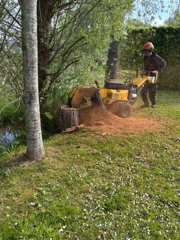 Tuinopkuis – Bamboe verwijderen – Boomwortels frezen beschikbaar voor biedingen