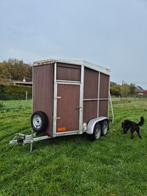1.5 paardentrailer BCW, Ophalen, Gebruikt, Hout, 1½-paards trailer