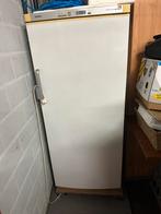 Hoge diepvries / 2 extra koelelementen / 6 bergruimtes ., Elektronische apparatuur, Vriezers en Diepvrieskisten, Ophalen, Gebruikt