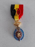 Médaille du travail - décoration du travail - distinction, Autres matériaux, Enlèvement ou Envoi