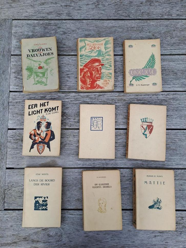 Lot van 38 boeken - Davidsfonds - Guldenreeks - 1948 – 1954, Boeken, Literatuur, Gelezen, België, Ophalen