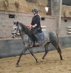 Gemotiveerde ruiter gevraagd