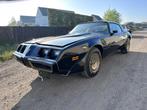 1981 Pontiac Transam Turbo, Gebruikt, Overige modellen, Overige brandstoffen, Bedrijf