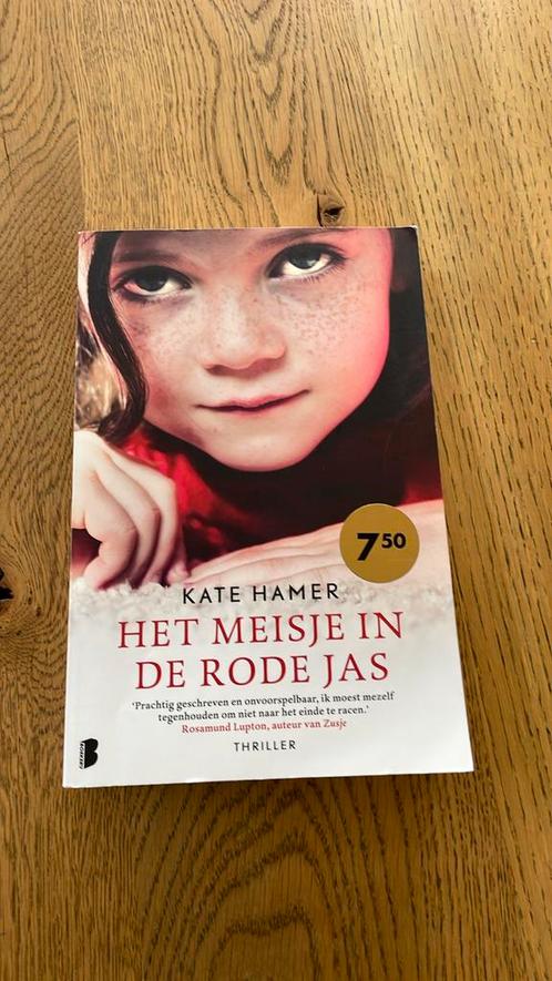 Kate Hamer - Het meisje in de rode jas, Livres, Thrillers, Enlèvement ou Envoi