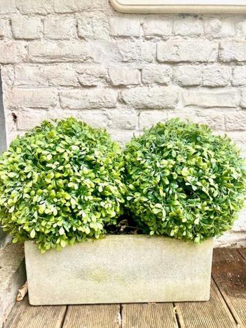 Vibrerende kunstmatige buxusballen x 2 beschikbaar voor biedingen