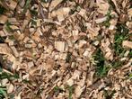 Gehakselt hout gratis, Minder dan 3 m³, Ophalen of Verzenden, Overige houtsoorten, Takken
