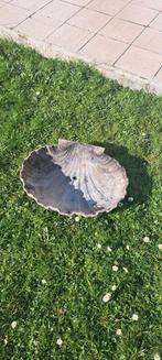 Fontaine coquille fonte tres ancienne, Enlèvement