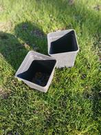 kweekpotten, Tuin en Terras, Ophalen of Verzenden, Gebruikt, Vierkant, Kunststof