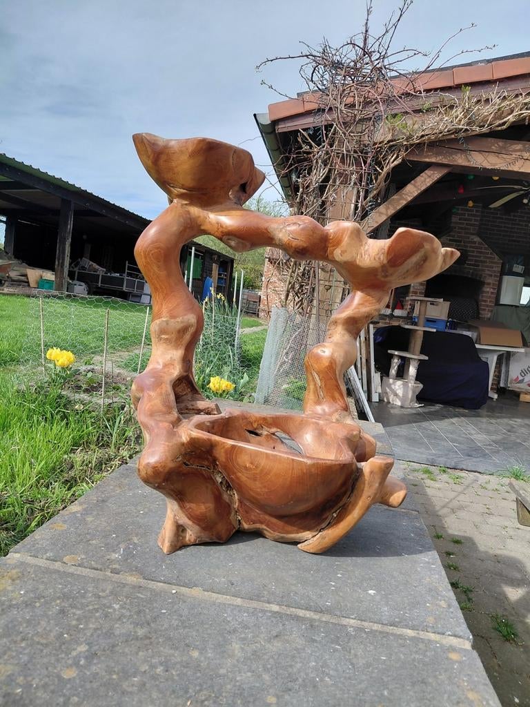 Table souche asiatique