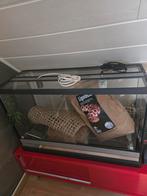 terrarium 80  50 30cm, Dieren en Toebehoren
