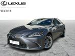 Lexus ES 300h Privilege Line, 2487 cm³, 103 g/km, 131 kW, Automatique