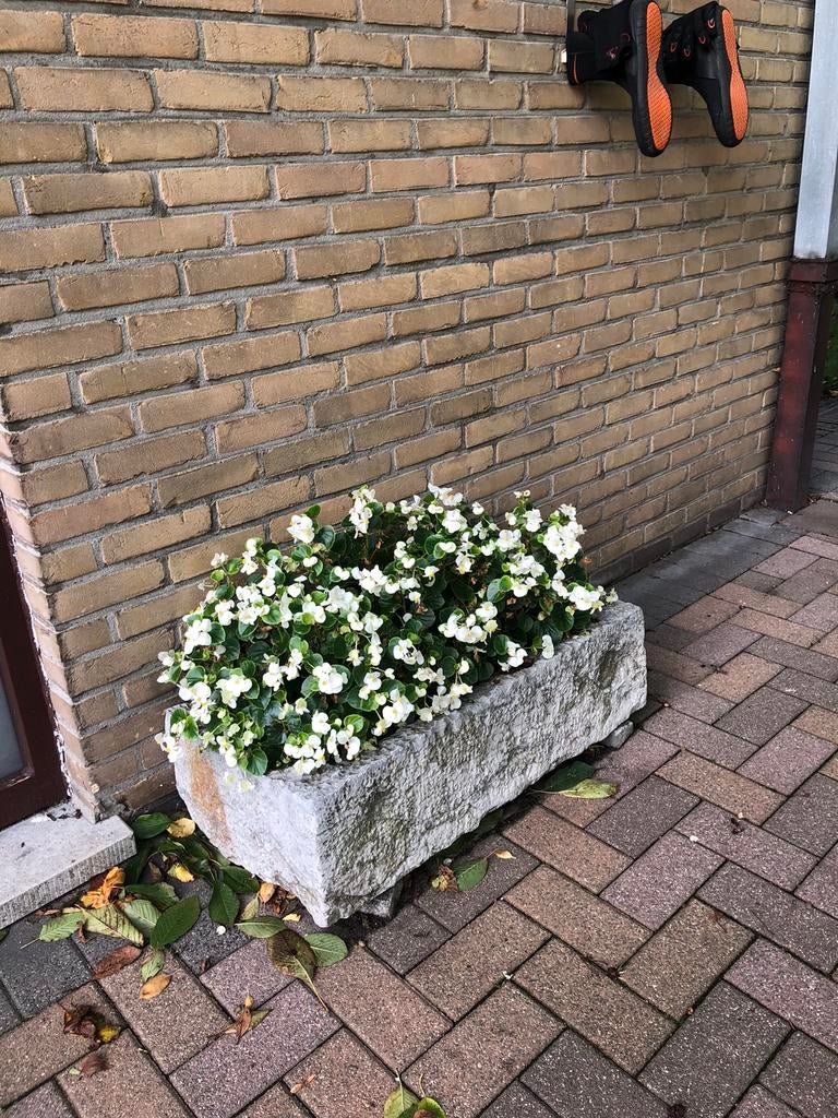 Antieken arduinen varkenstrog - 83cm op 43cm, Ophalen, Overige materialen, Gebruikt, 60 tot 100 cm