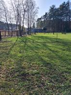 Weide met stalling beschikbaar te westerlo. Vol pension, Dieren en Toebehoren, Stalling