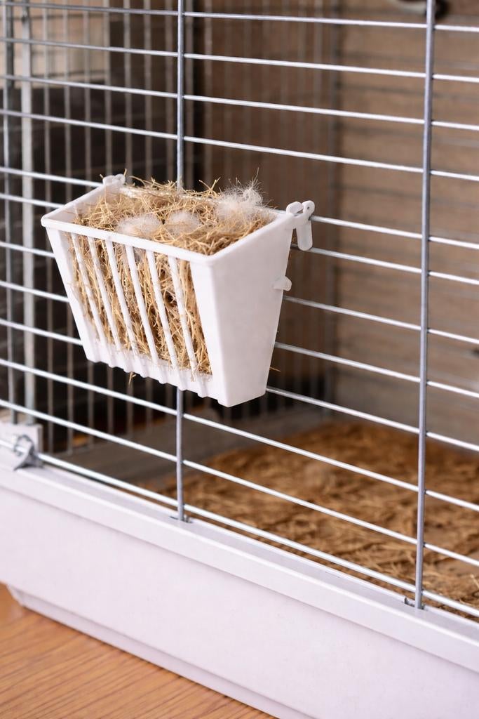 Support en plastique 9x6x3cm blanc, Animaux & Accessoires, Oiseaux | Canaris