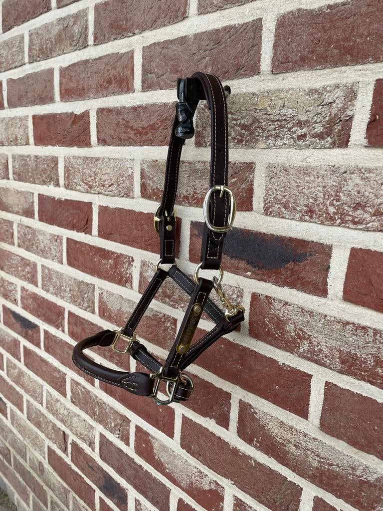 Kentucky leren halster shet, Dieren en Toebehoren, Ophalen of Verzenden, Zo goed als nieuw