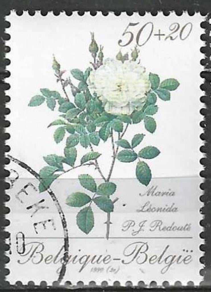 Belgique 1990 - Yvert/OBP 2356 - Flore - Roses. (1ER), Envoi, Affranchi, Oblitéré