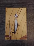 Boudewijn park, Collections