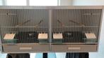 Kweekkooi, Dieren en Toebehoren, Ophalen, Zo goed als nieuw, Kunststof, Broedkooi of Kweekkooi
