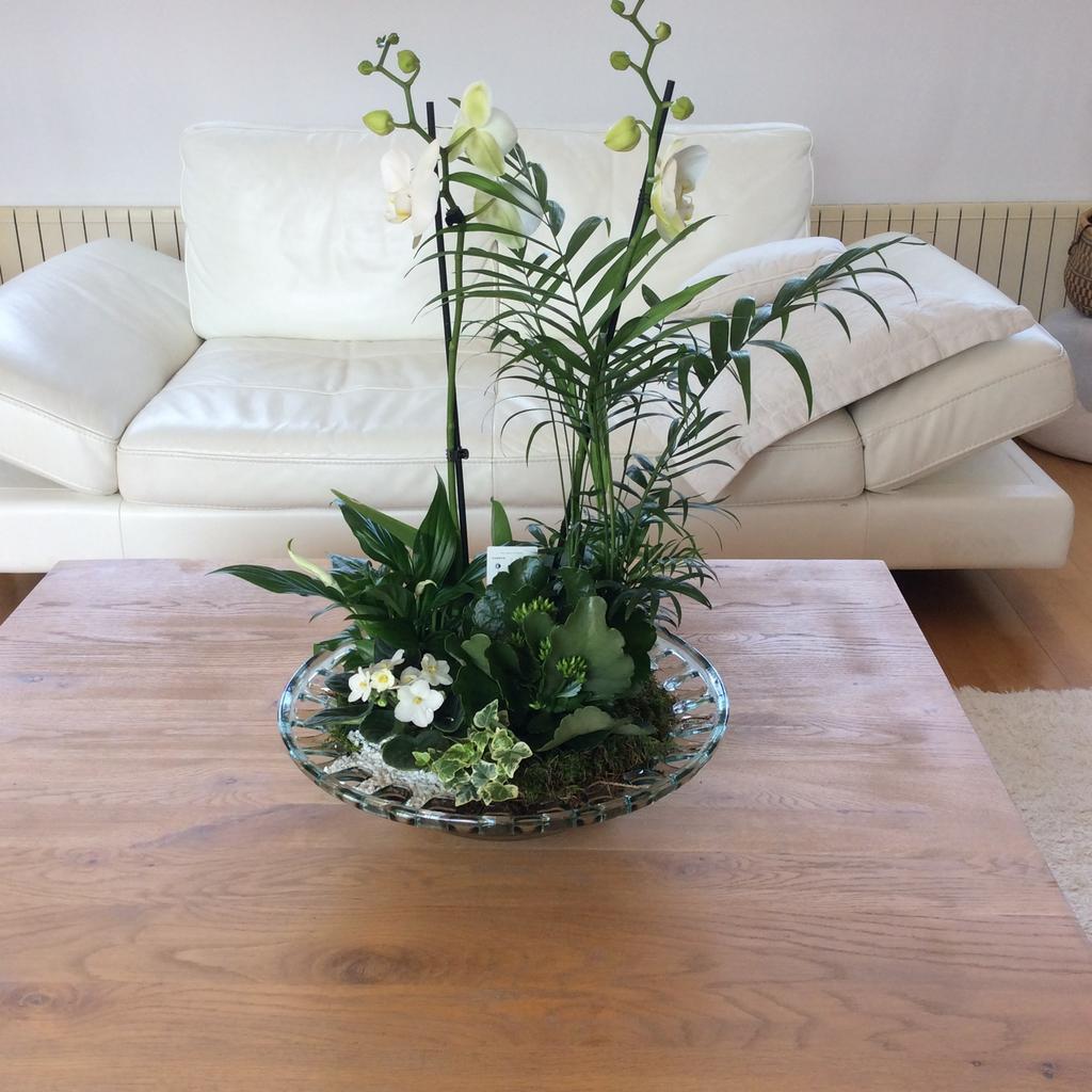 Witte leren designbank, Huis en Inrichting, Zetels | Zetels, Gebruikt, Rechte bank, Driepersoons, 200 tot 250 cm, 75 tot 100 cm