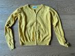 Geel truitje Molo - maat 146, Enlèvement ou Envoi, Comme neuf, Fille, Pull ou Veste
