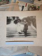 Photo d'un officier belge de la Première Guerre mondiale, Collections, Objets militaires | Général, Enlèvement ou Envoi, Armée de terre