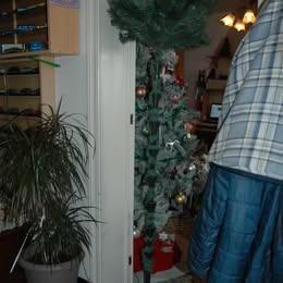 sapin artificielle, Divers, Noël, Utilisé, Enlèvement
