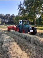 HOOI, Dieren en Toebehoren, Paarden