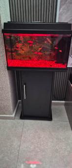 Aqwarium, Dieren en Toebehoren, Vissen | Aquaria en Toebehoren, Ophalen of Verzenden