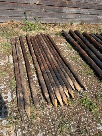 Weide omheining te koop, Pâturage, 2 ou 3 chevaux ou poneys