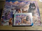 Wolven puzzel 2000 stuks, Hobby en Vrije tijd, Denksport en Puzzels, Ophalen, Meer dan 1500 stukjes, Zo goed als nieuw, Legpuzzel