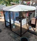 Buitenren / speelren voor hond of konijn, Dieren en Toebehoren, Ophalen, Hok, Konijn