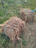 Natuurhooi kleine balen, Dieren en Toebehoren, Ophalen, Vee