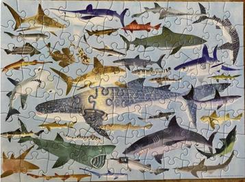 Puzzel haaien 100 stukjes beschikbaar voor biedingen