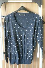 Donkerblauw jasje met ecru bolletjes WE (a420), Vêtements | Femmes, Pulls & Gilets, Taille 46/48 (XL) ou plus grande, Enlèvement ou Envoi