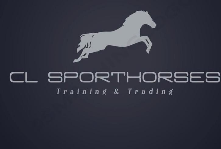 Cl_sporthorses - training & trading, Dieren en Toebehoren, Paarden, Zadelmak