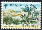 Belgie 1967 - Yvert/OBP 1409 - Natuurbescherming (ST), Verzenden, Gestempeld, Gestempeld