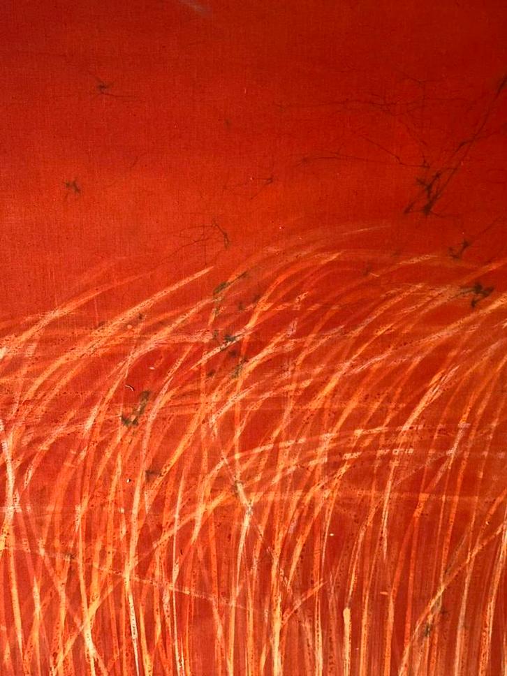 Schilderij Sigrid Bedeer >3m, Antiek en Kunst, Kunst | Schilderijen | Modern, Ophalen