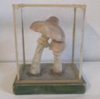 ancien modèle botanique de champignon en verre/boîte plexi h, Envoi