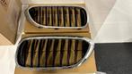 Grille radiator BMW 5 reeks, Autos, BMW, Série 5, Noir, Achat, Particulier