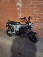 Dax 50cc, Vélos & Vélomoteurs, Cyclomoteurs | Honda, Autres modèles, 4 vitesses, Comme neuf, Classe B (45 km/h)