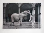 Kunstwerk, Marc Lagrange - Tusk, Enlèvement ou Envoi, Comme neuf, Imprimé, 75 cm ou plus