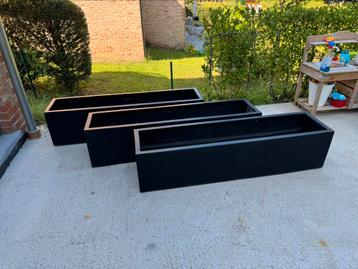 Jardinière rectangulaire 150x36x35cm beschikbaar voor biedingen