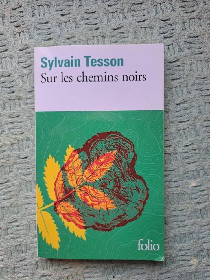 Sylvain Tesson  - Sur les chemins noirs -  Folio, Boeken, Literatuur, Zo goed als nieuw, België, Ophalen of Verzenden