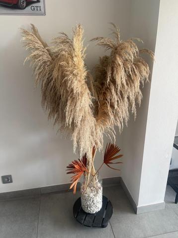 Vase avec galets et pampas beschikbaar voor biedingen